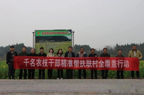 农技专家田间传技 助湘西州油菜产业高质量发展