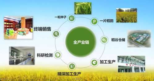 会员项目 金友米业 打造国内领先的生态农产品服务提供商