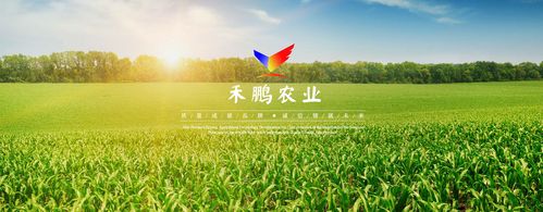 您好,欢迎光临吉林省禾鹏农业技术开发!