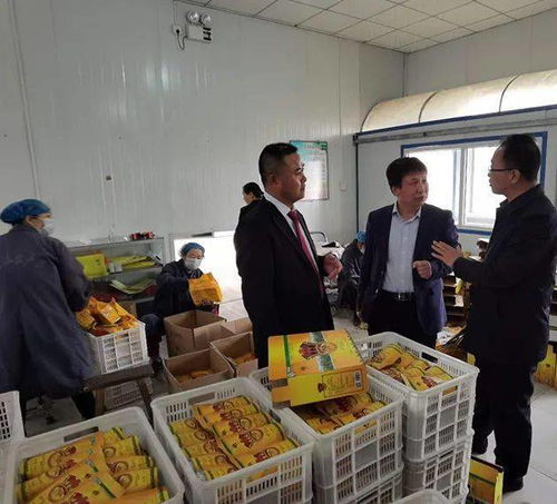 柳林县天王农产品农民专业合作社学会服务站揭牌成立